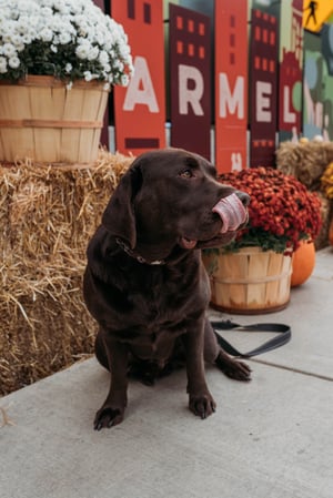 Images Drew Federau - State Farm Insurance Agent