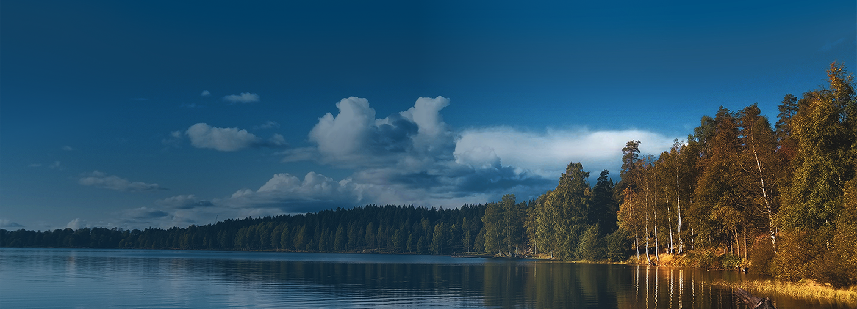 A calm lake surrounded by trees on a partly sunny day.