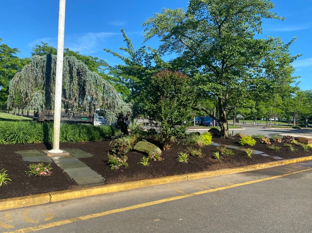 Images Justin Tree Services & Lawn Care