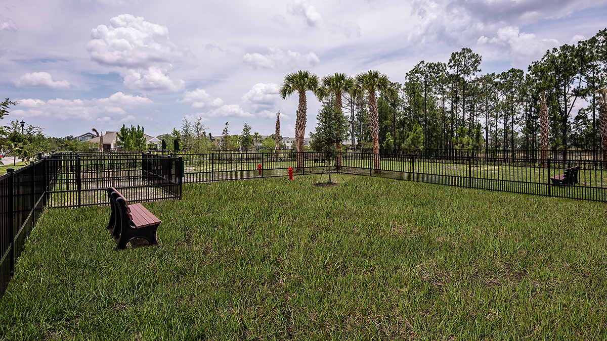 Harvest at Ovation - Taylor Morrison Image