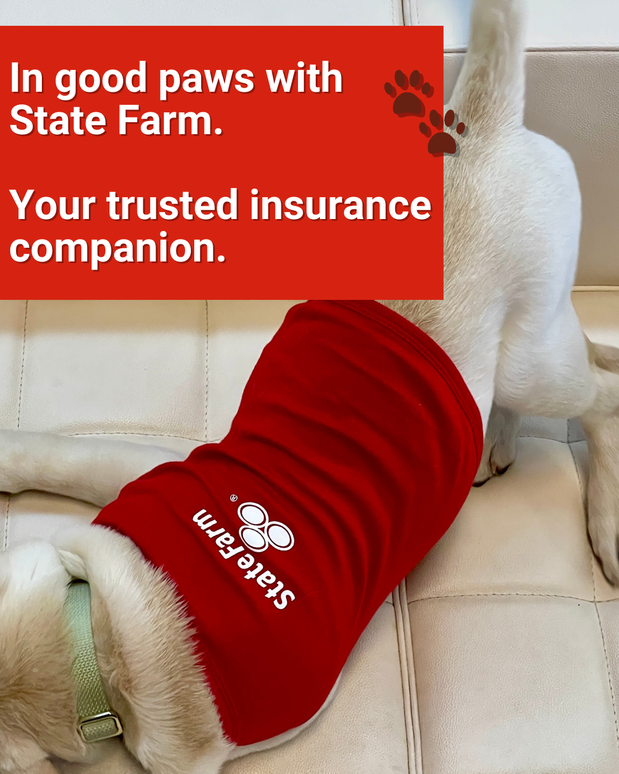 Images Eric Taylor - State Farm Insurance Agent