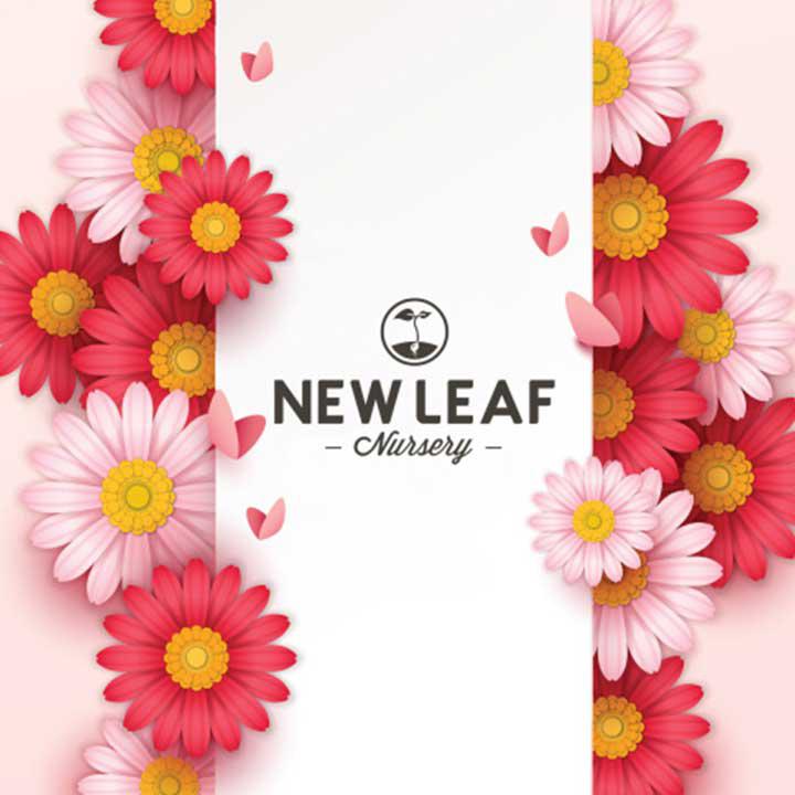 Images New Leaf Nursery