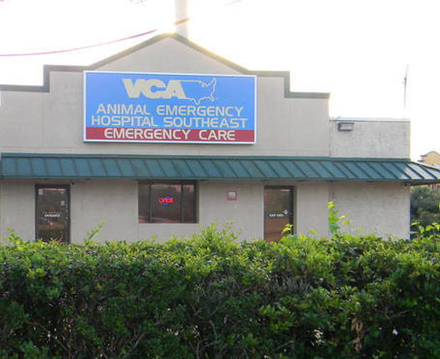 Images VCA Animal Emergency Hospital Southeast