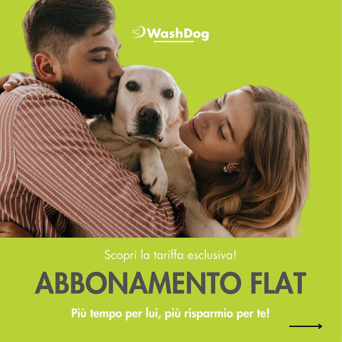 Bilder WashDog Bellinzona