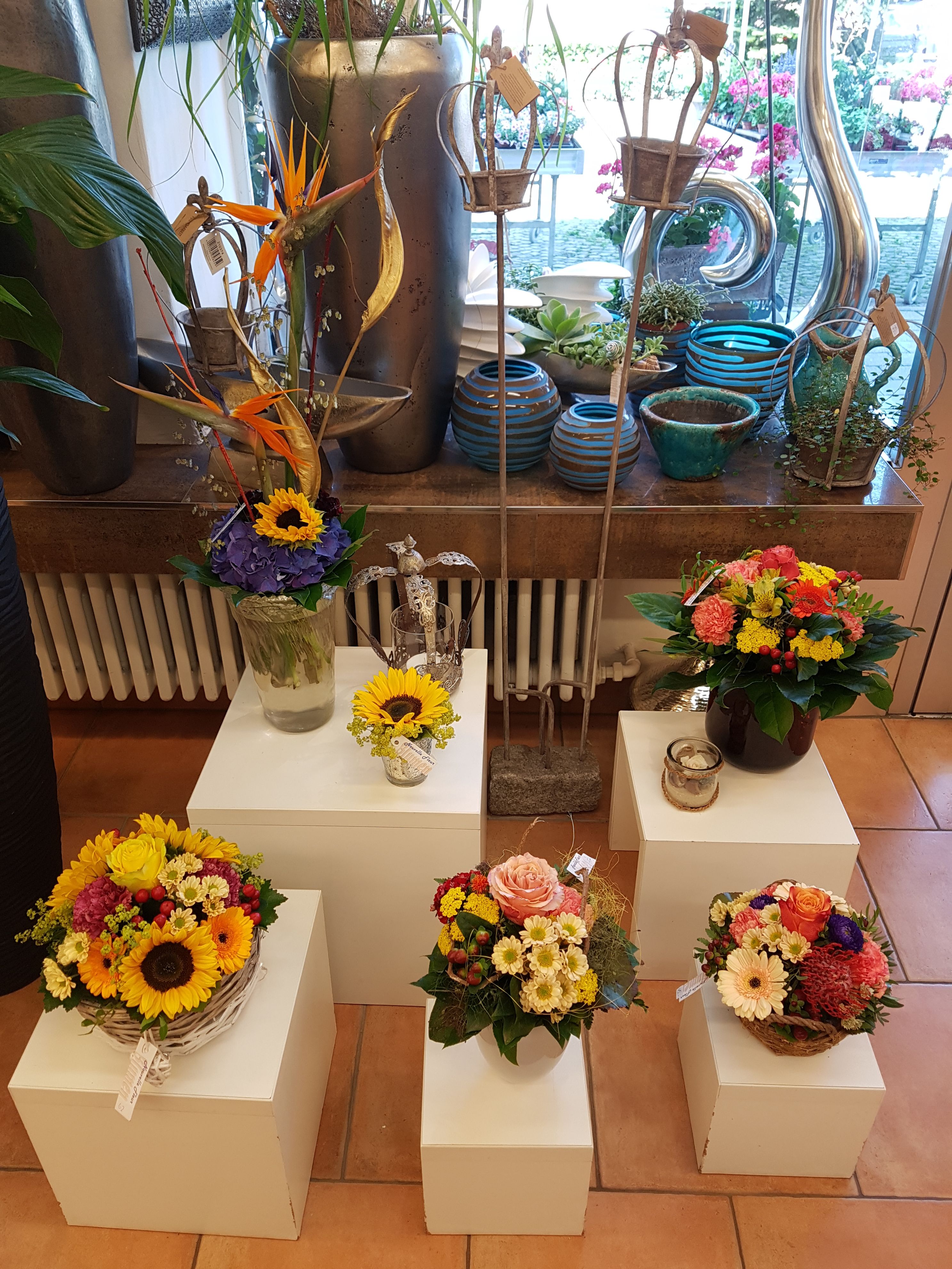 Bilder Blumen Nouvelle Fleur