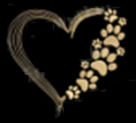 Images Pet Send Off To Rainbow Bridge
