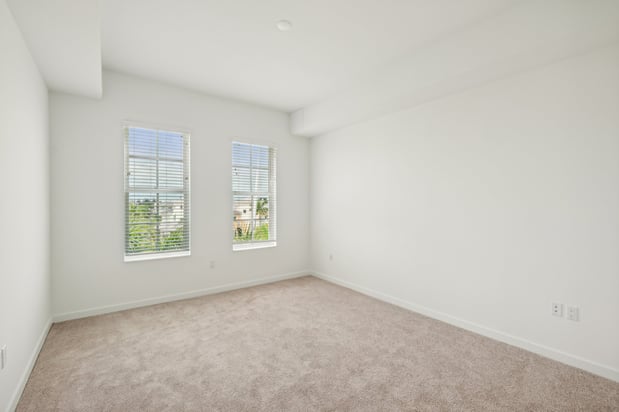 Images Ivory Lantana