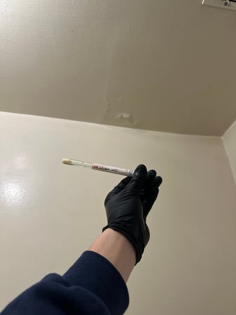 Images 24H Mold Inspection of Harbor City