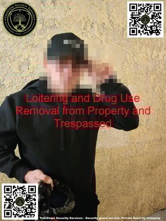 Images TreeStone Security Services