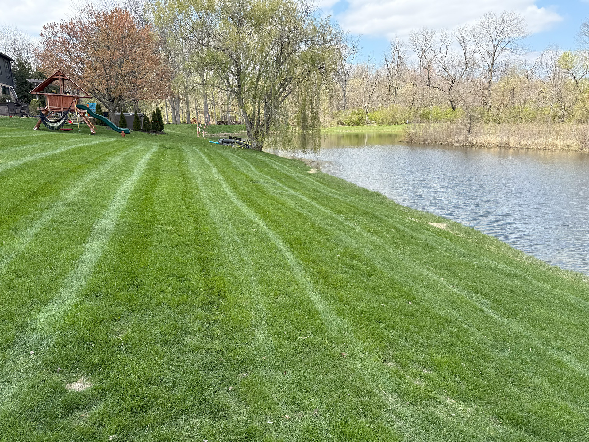 Rooted Lawn & Landscape Image