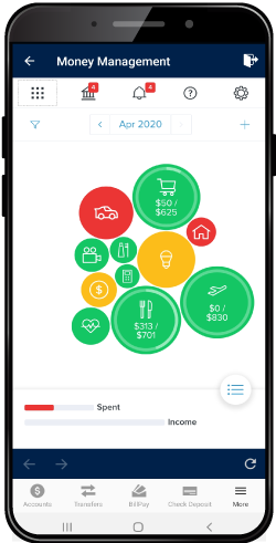 Stay on top of your budget on the go.