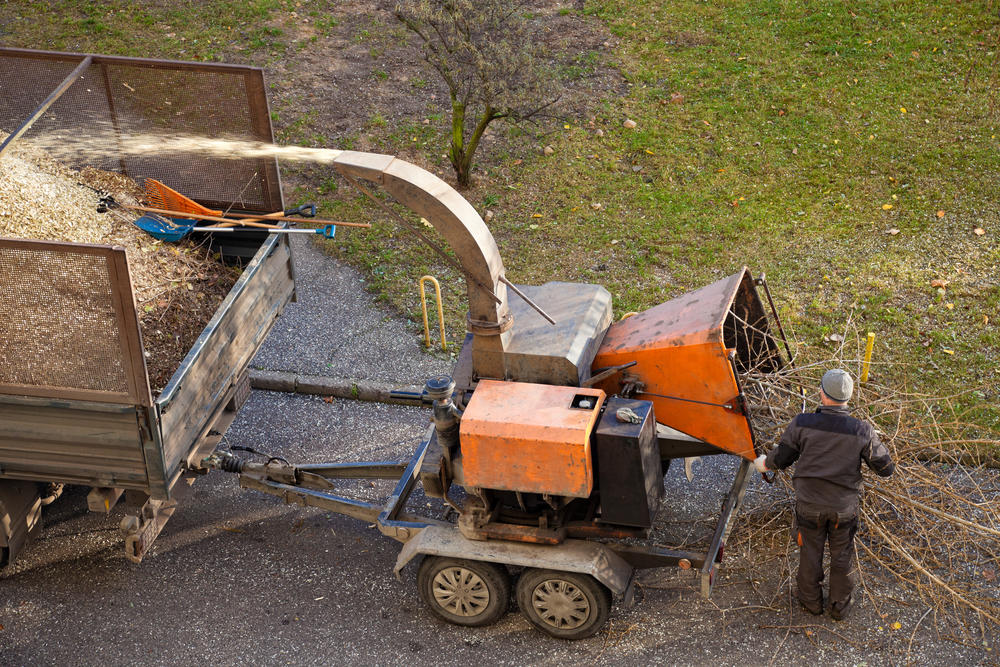 Tree Service Kansas City