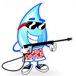 Pro Pacific Pressure Washing Logo