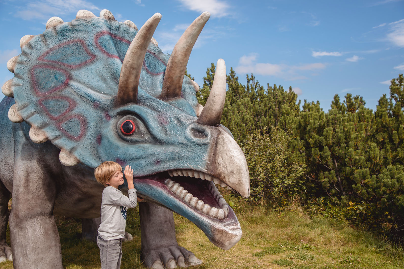 Bild 25 von Bergbahnen Steinplatte Waidring/Triassic Park