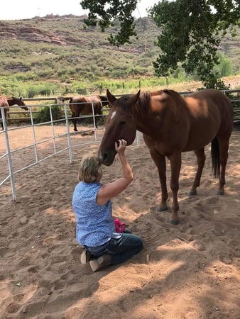 Images Sylvan Dale Guest Ranch & Wedding Venue