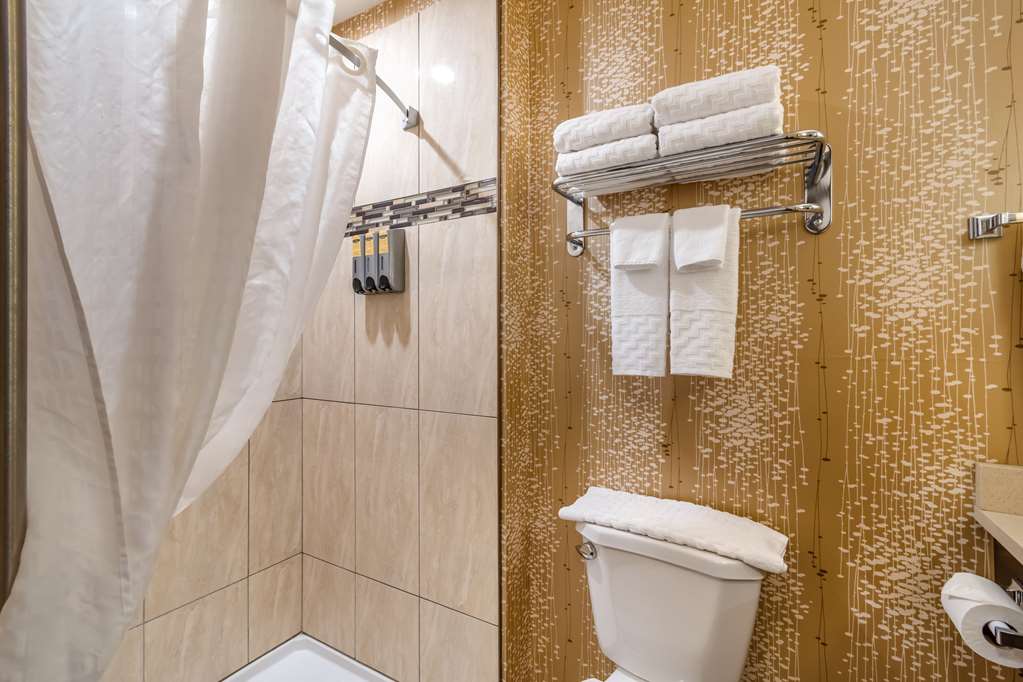 Images Best Western Plus Kindersley Hotel