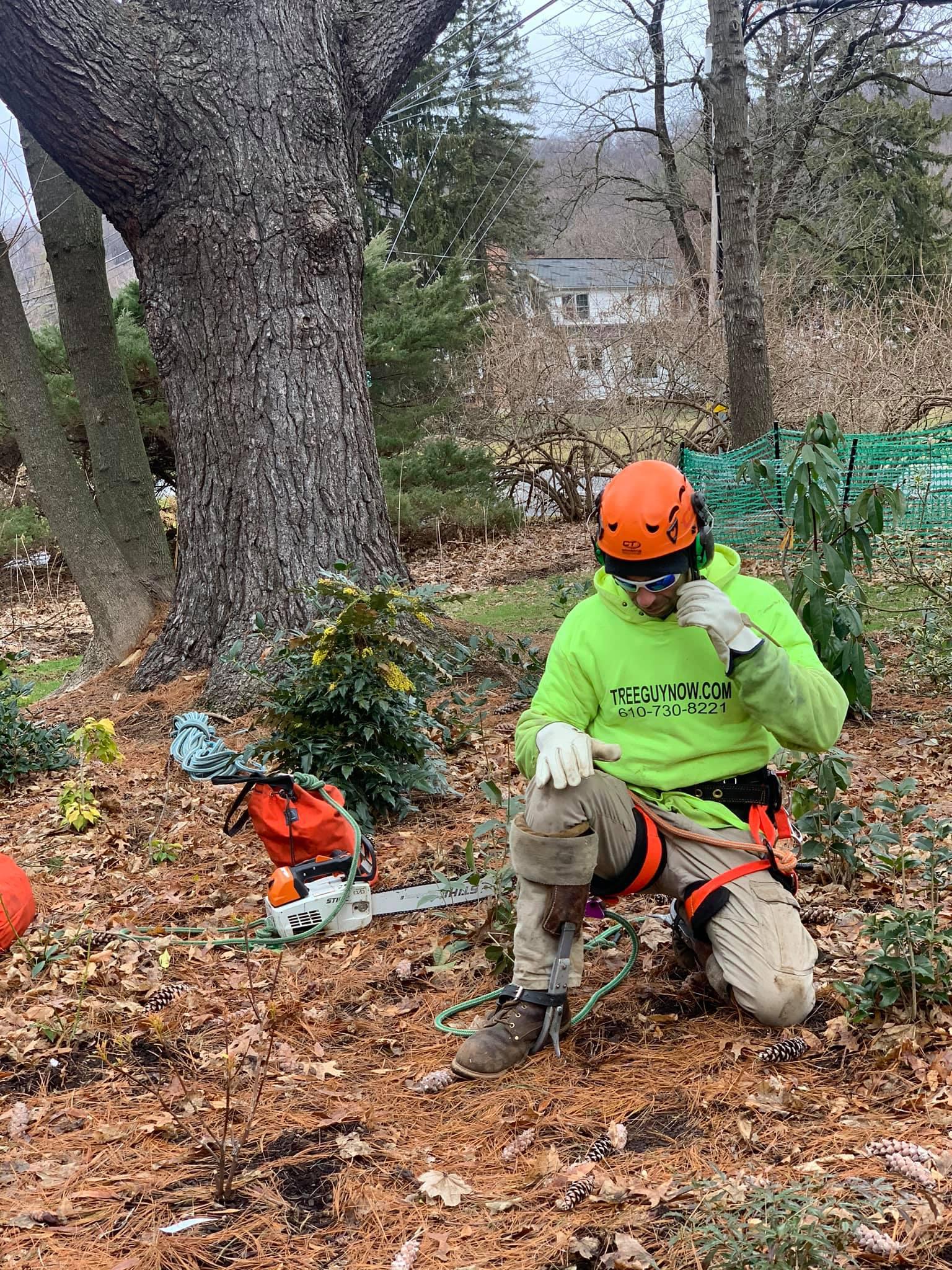 Tree Guy Now Photo