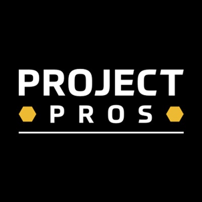 Project Pros