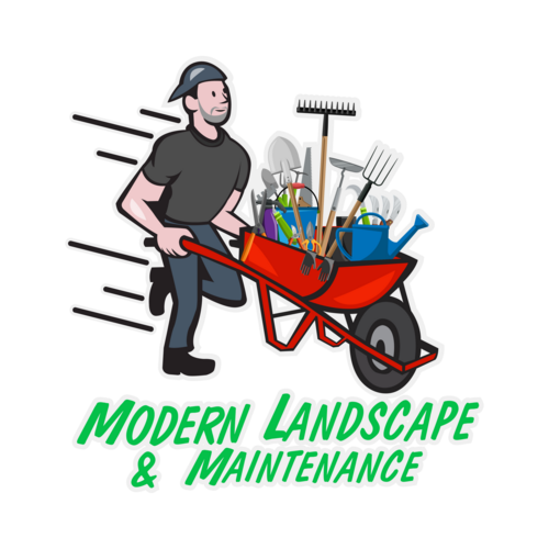 Modern Landscape & Maintenance