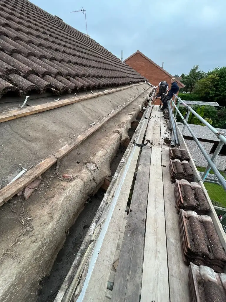 Images MTC Roofline