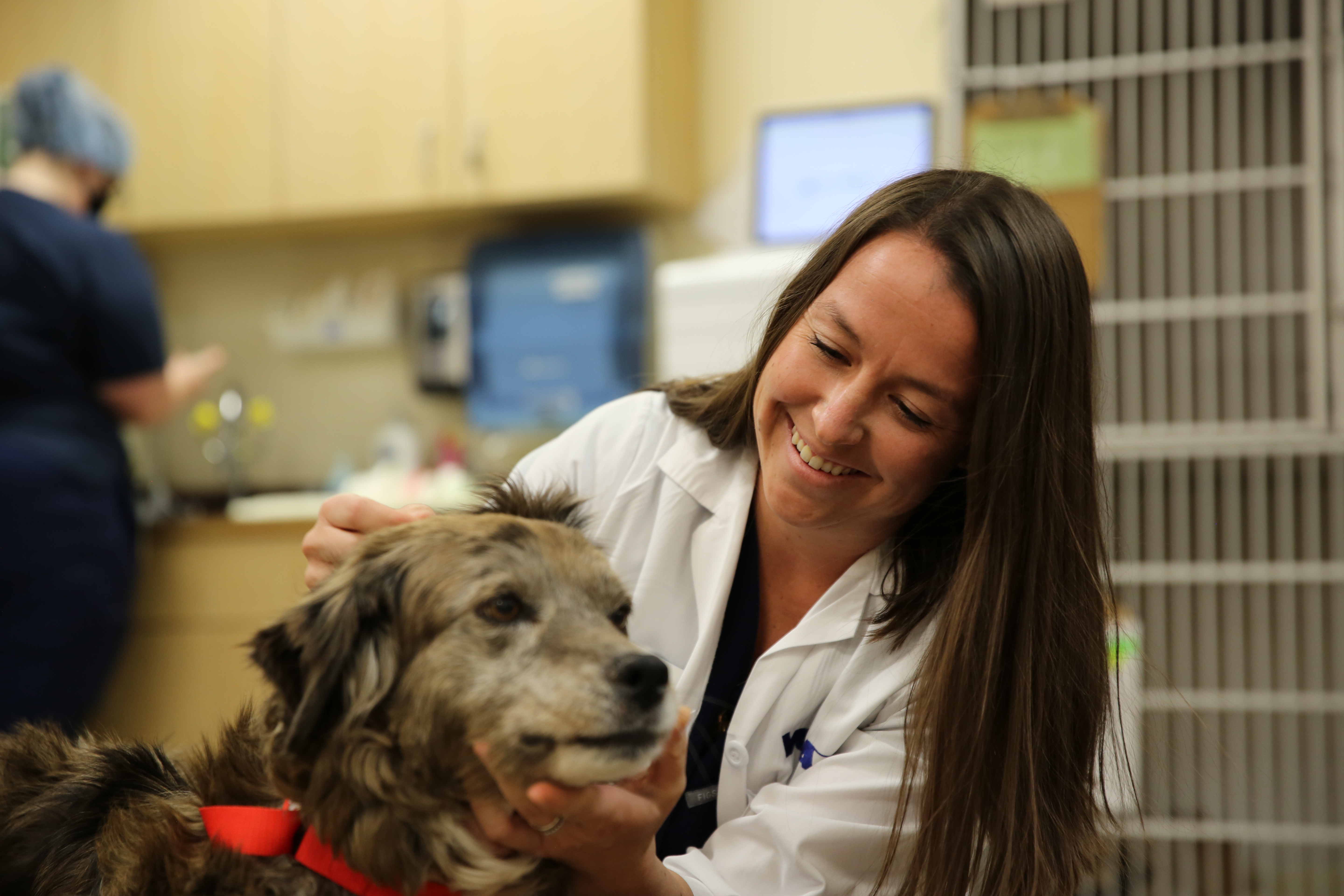 Image 22 | VCA Alameda East Veterinary Hospital