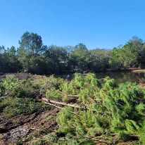 Images J & M Forestry and Mulching LLC