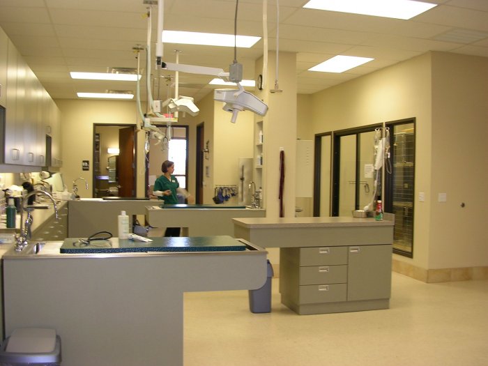 Image 6 | VCA Saginaw Animal Hospital