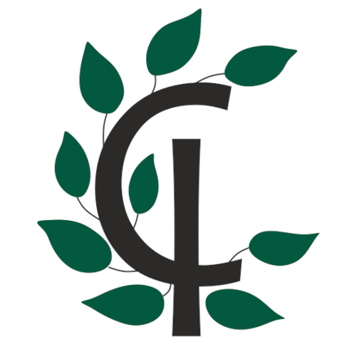 company logo