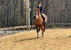 Images Star Ridge Stables