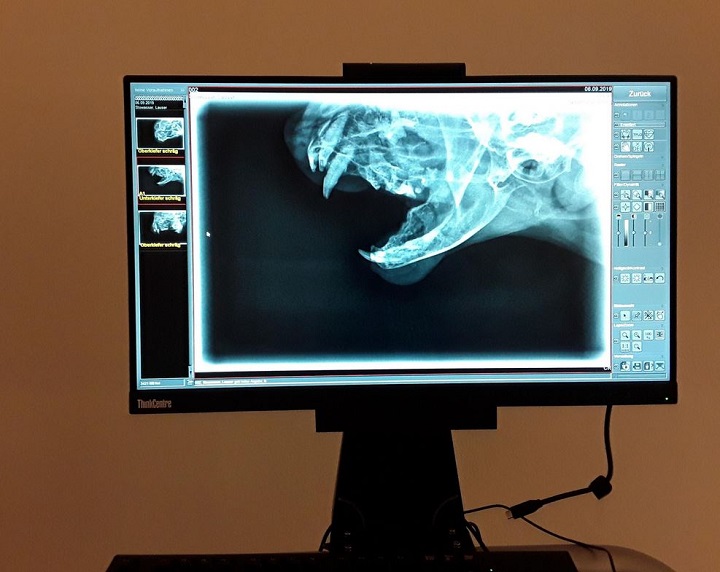 Tierarztpraxis an der Elster, Industriestr.  31 in Leipzig