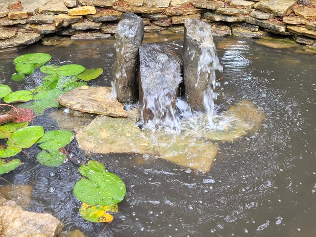 Images Pond Wiser Inc