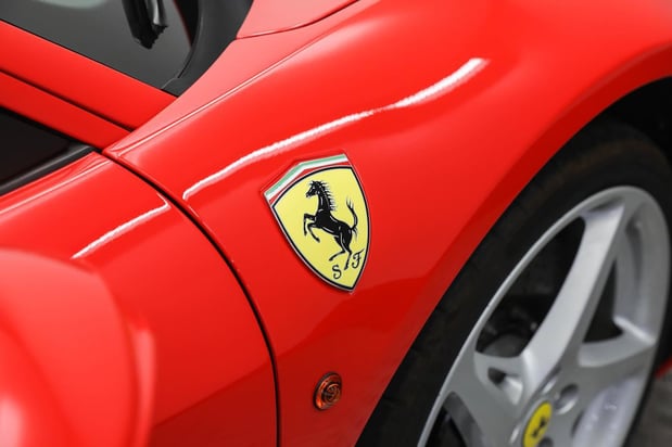Images Loudoun County Exotics