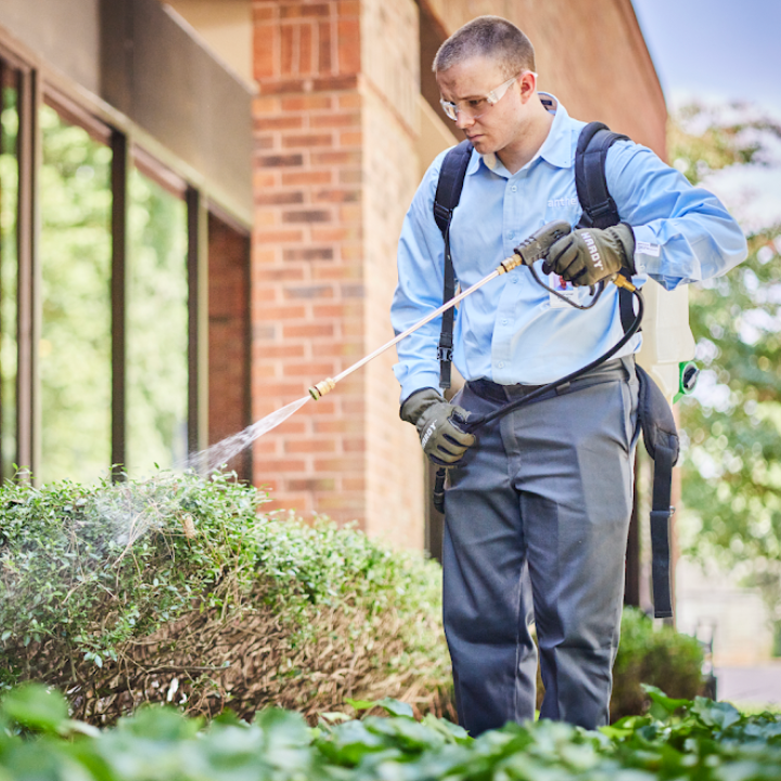 Images Anthem Pest Control