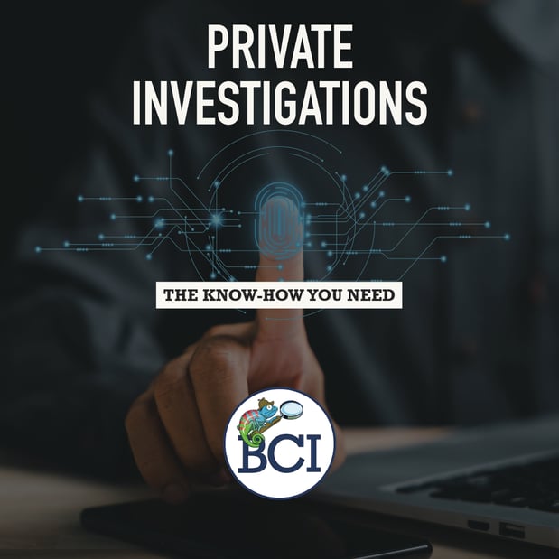 Images Blue Chameleon Investigations