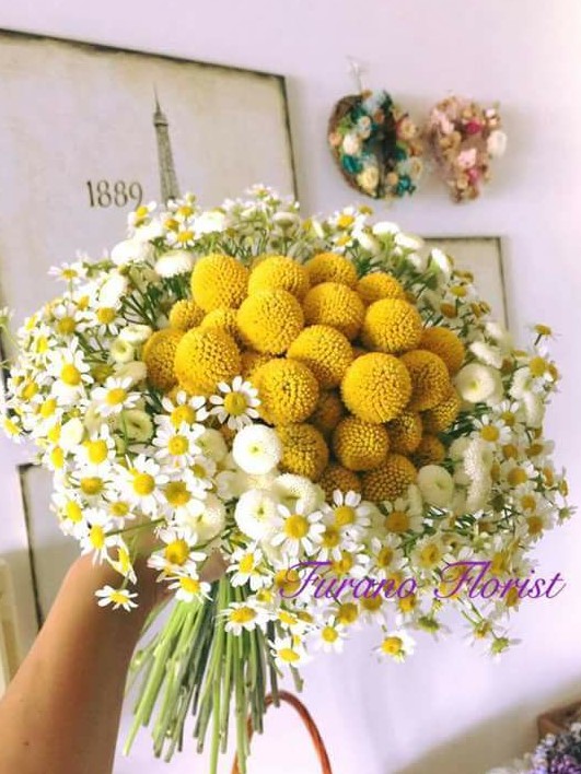 Images Fiorista Alfreda Pistone Design Flowers