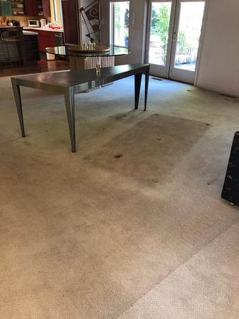 Images Carpet Pro Carpet Cleaning & Dyeing