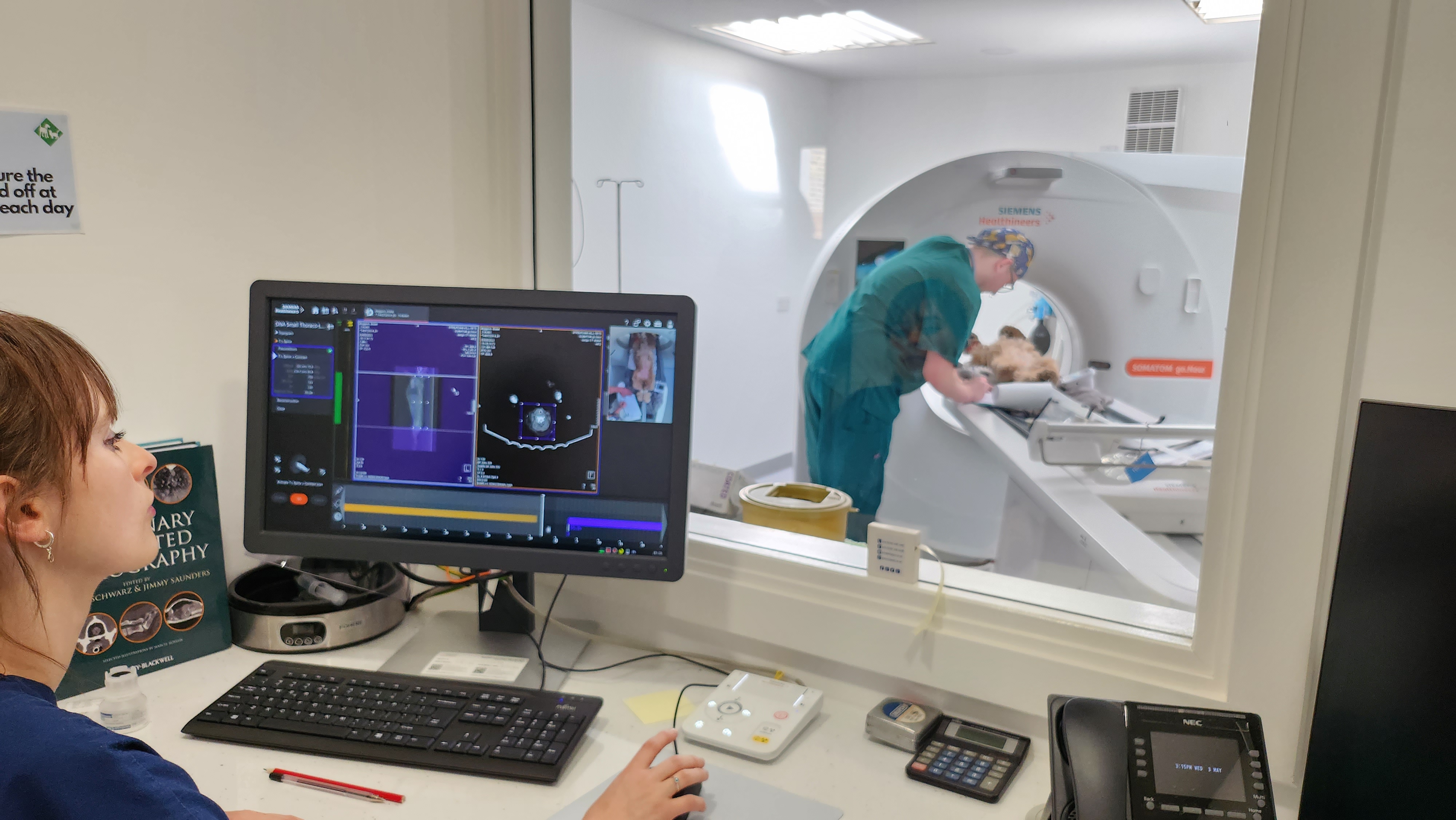 Images Streatham Hill Veterinary Surgery