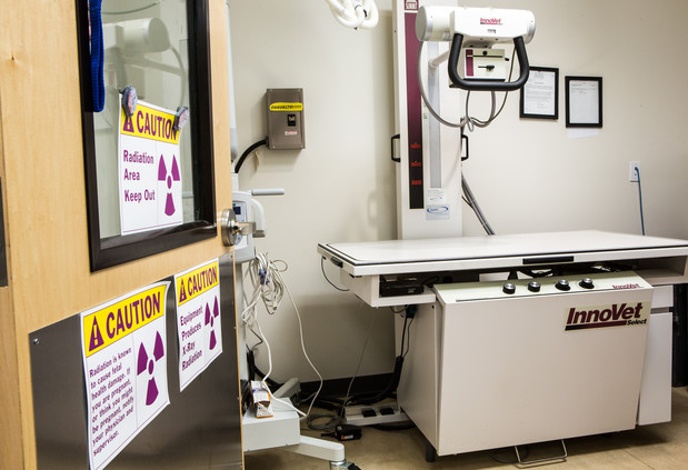 Images Bayview Animal Hospital