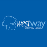 Images Westway Veterinary Group, Cat Clinic