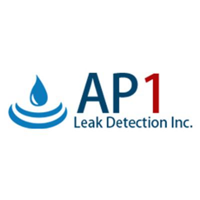 AP1 Leak Detection Inc Logo