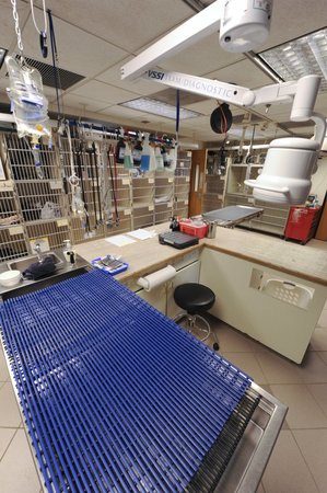 Images VCA Alexandria Animal Hospital