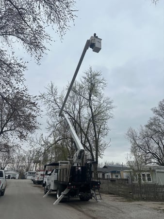 Images 33 Tree Service