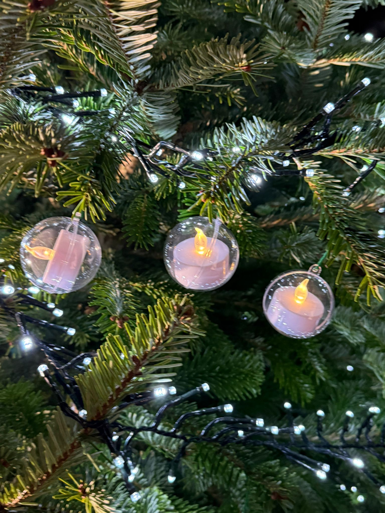 Christmas 2024