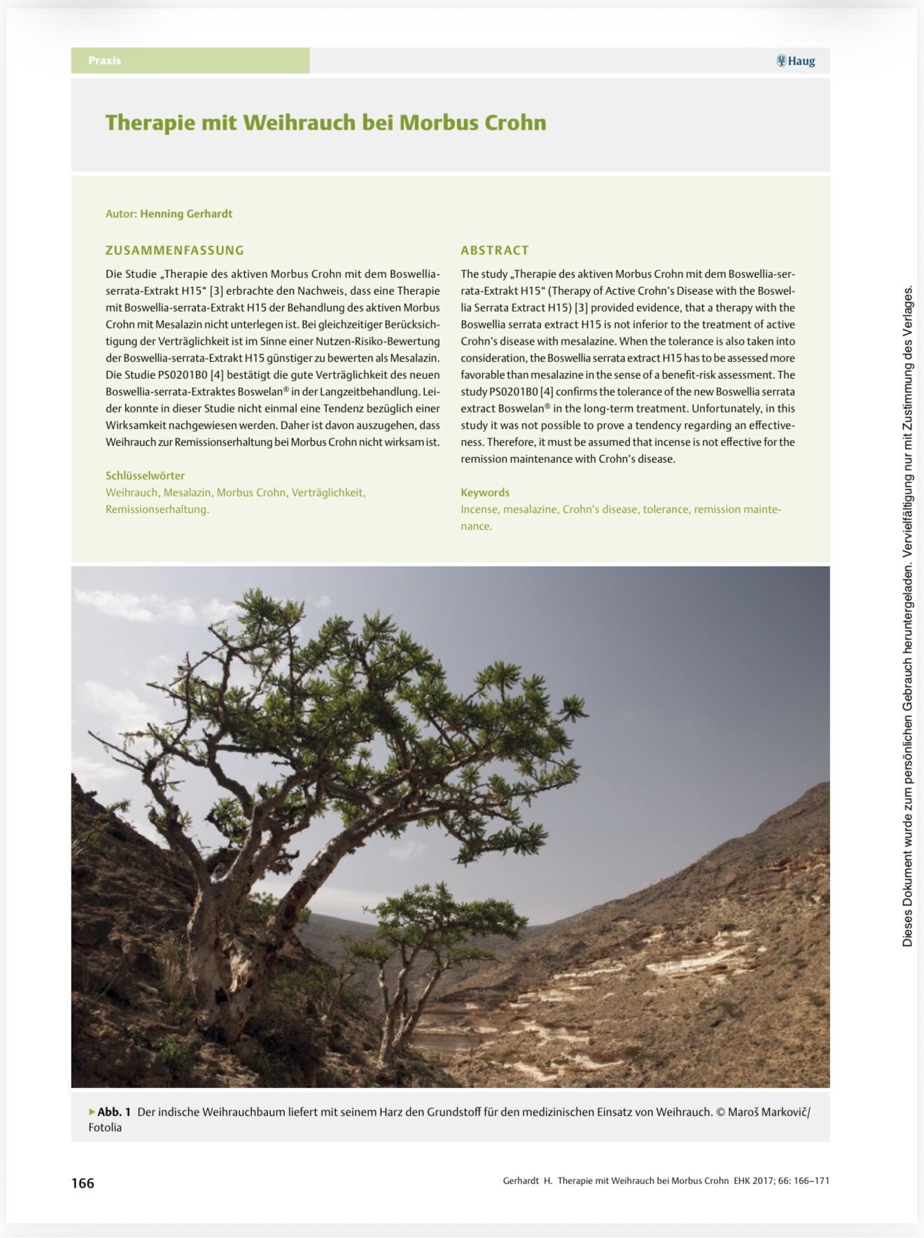 Weihrauch Sallaki in Mannheim