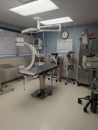 Images VCA Avondale Veterinary Hospital