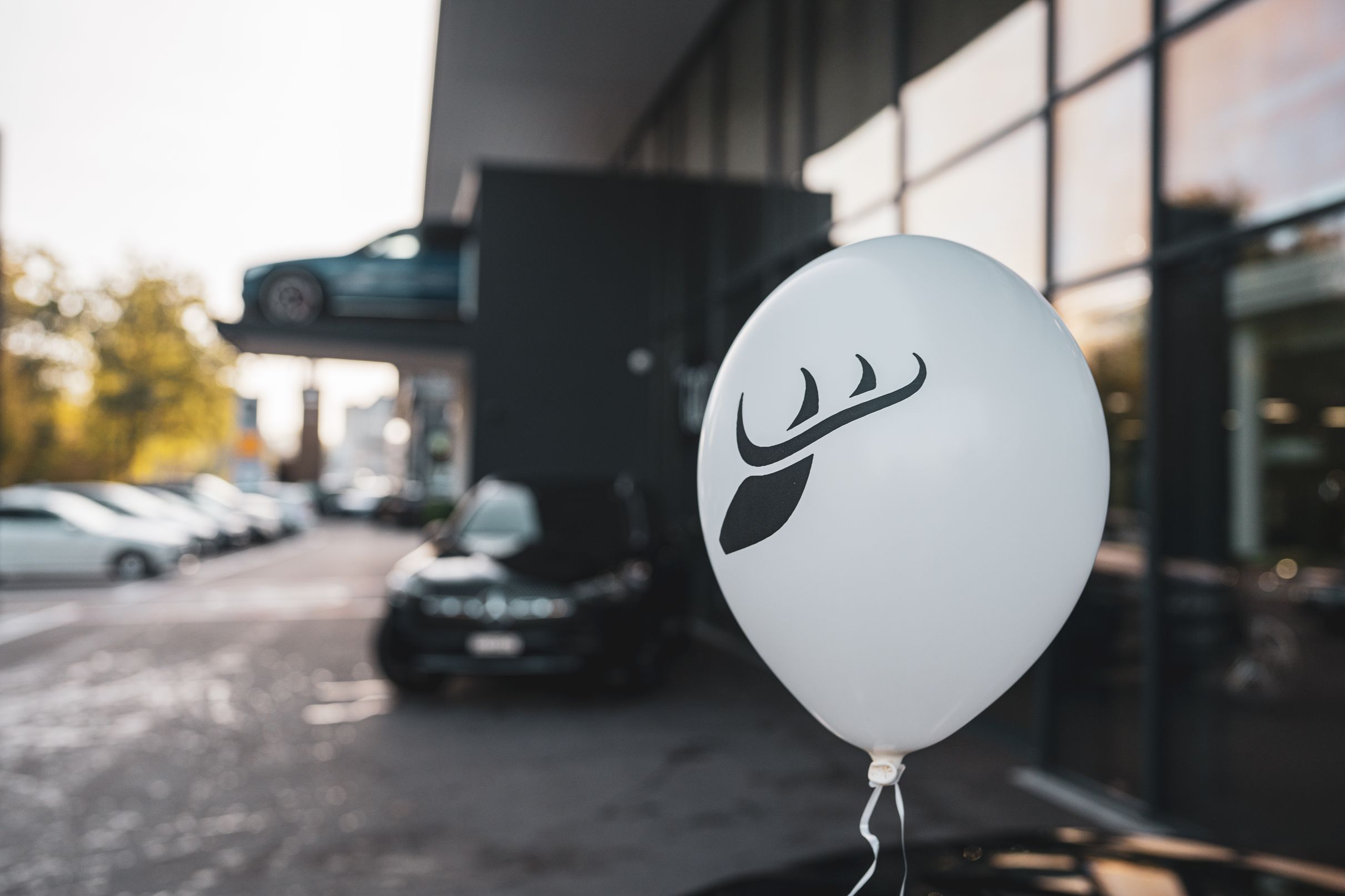 Hirsch Ruckstuhl AG, Industriestrasse 8 in Kloten