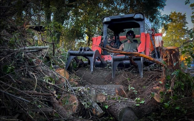 Images Tree-mendous Tree Service