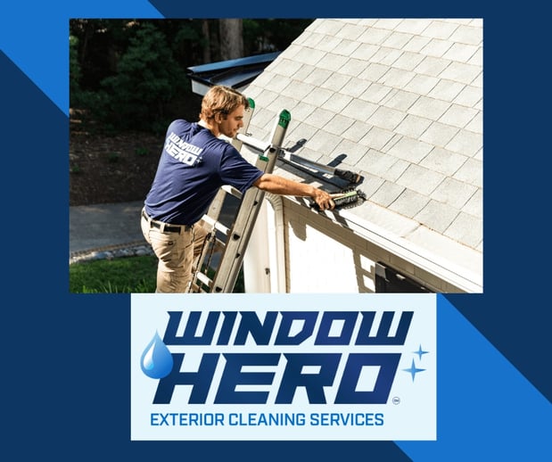 Images Window Hero Charlotte