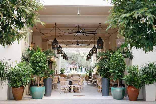 Images THesis Hotel Miami Coral Gables, Curio Collection by Hilton