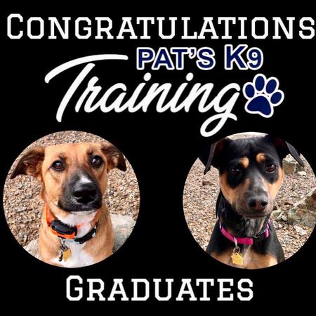 Image 4 | Pat's K9 Training, LLC
